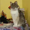 Отзыв от Римма Дружинина